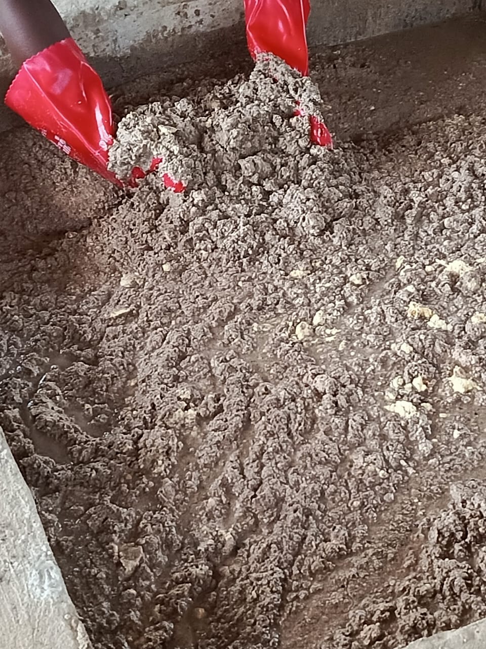 Feed Preparation